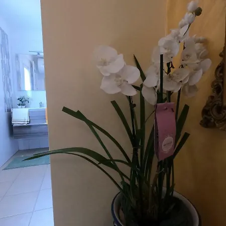 La Casetta Narni Πανσιόν